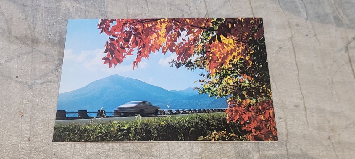 3241 絵葉書 秋の支笏湖 有料道路と恵庭岳拍卖