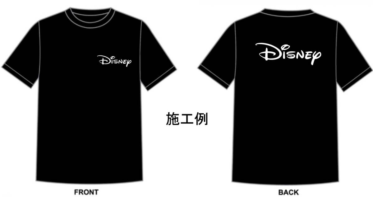 ディズニー風フォントで名前をアイロンプリント 大小セット拍卖