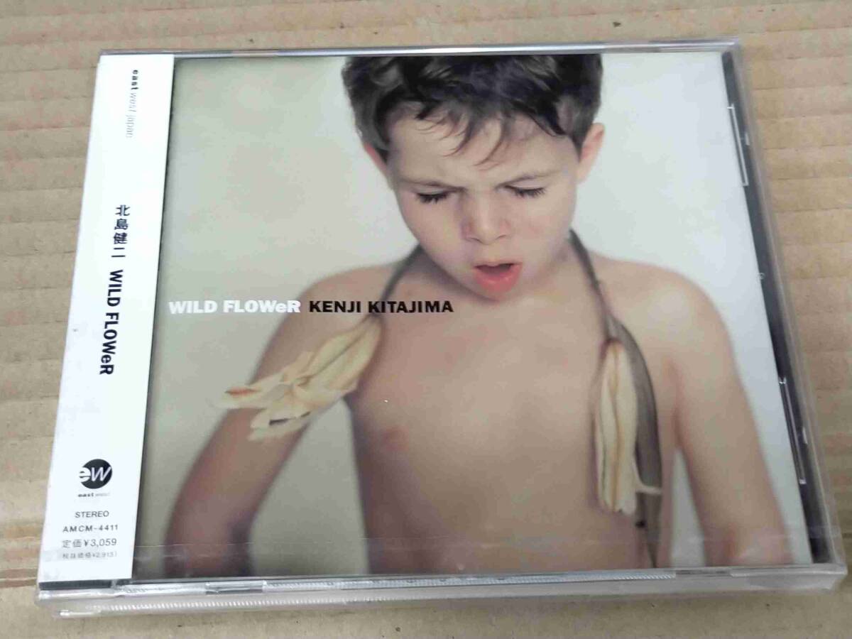 北島健二 WILD FLOWeR CD 未開封 FENCE OF DEFENSE フェンスオブディフェンス h818拍卖