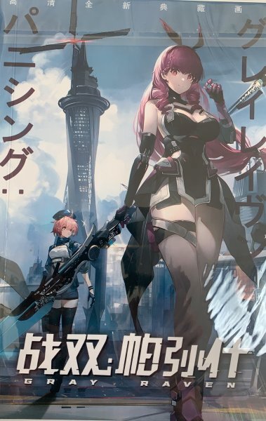 パニシング:グレイレイヴン パニグレ イラスト集拍卖