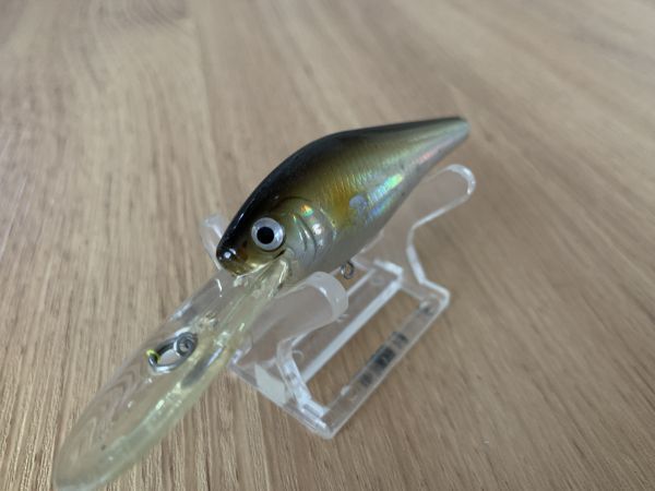 TDシャッドLC ダイワ アユ系カラー 箱9拍卖