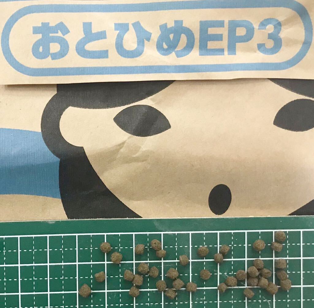 おとひめEP3(900グラム)沈下性3㎜粒(肉食魚 プレコ コリドラス カメ 錦鯉 ザリガニ ウーパールーパー)(高タンパク 高嗜好性)送料無料拍卖