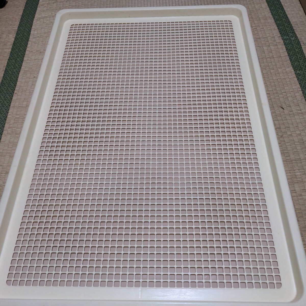 ペット用大型トイレ 【直接引き取り歓迎】 犬用トイレ 大型トイレ拍卖