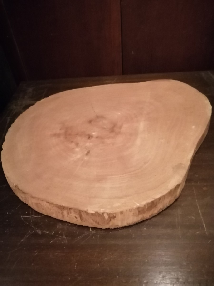 切り株 敷板 明治 工房在庫 板材 敷板 置台 木工 楠 工房 M105o1拍卖