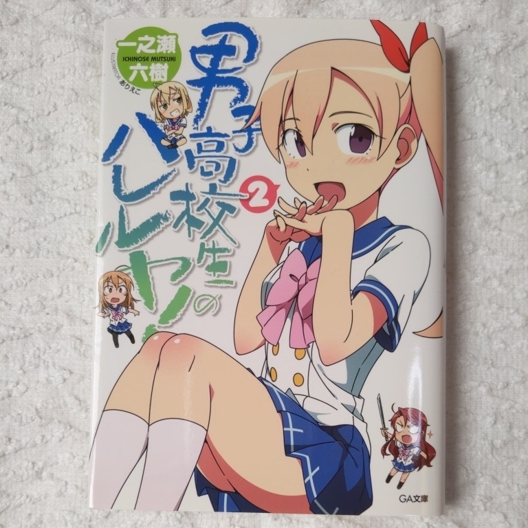 男子高校生のハレルヤ! 2 (GA文庫) 一之瀬 六樹 ありえこ 9784797372823拍卖