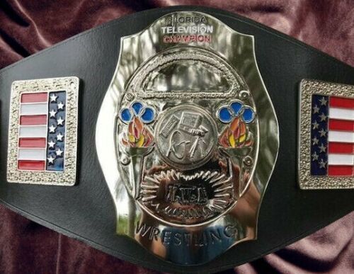 海外 限定品 送料込み プロレス NWA Florida Television Wrestling チャンピオン 優勝 ベルト 高品質 レプリカ 5拍卖