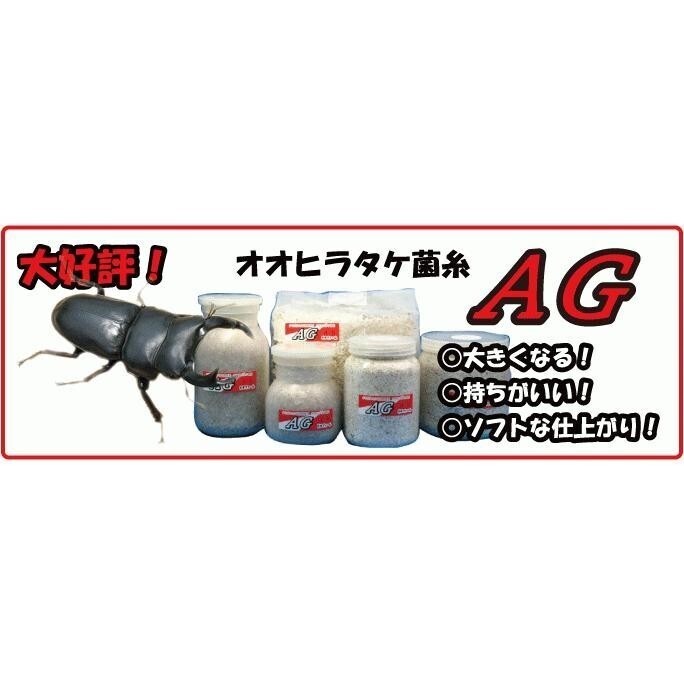 【送料無料・KBファーム】【オオヒラタケ菌床・クワガタムシ幼虫飼育用菌床・菌糸】AGブロック 3500cc(ブナ粗め)拍卖