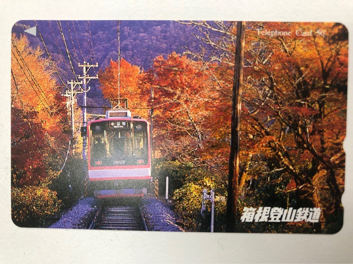 箱根登山鉄道 テレホンカード 50度 未使用拍卖