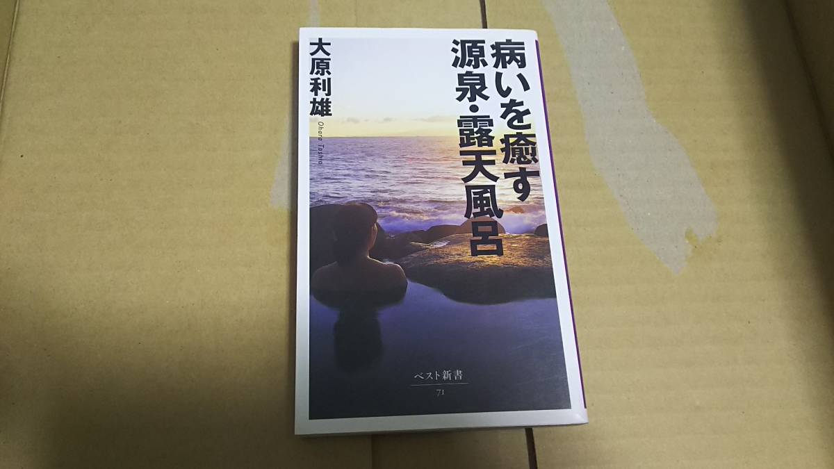 病いを癒す源泉・露店風呂 大原利雄拍卖