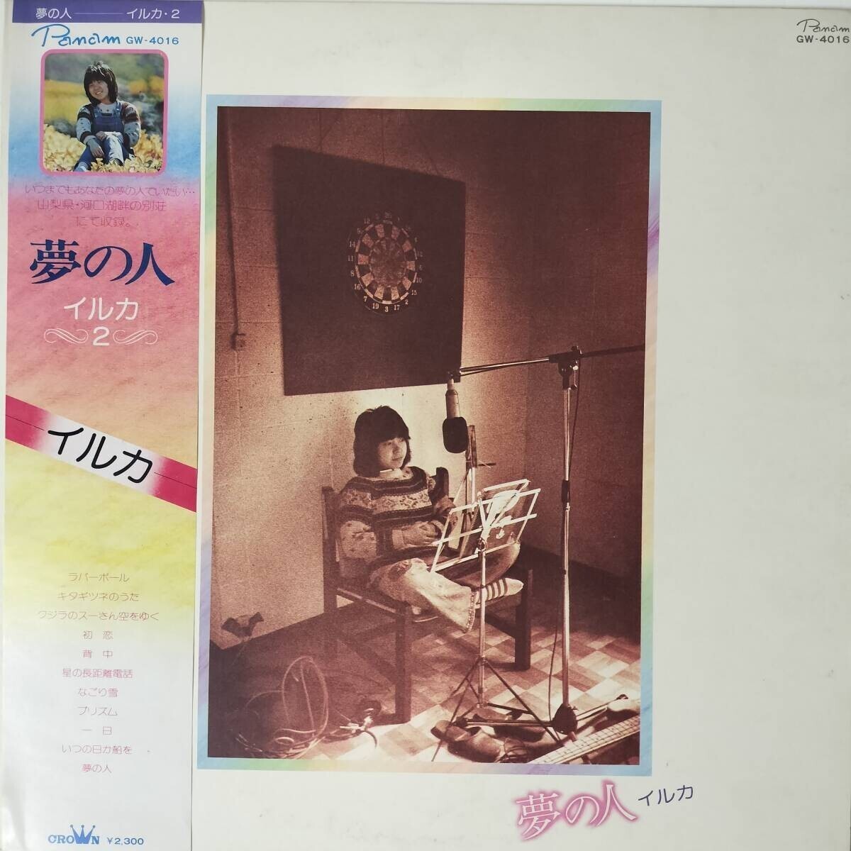 52430 イルカ / 夢の人 ※帯付き拍卖