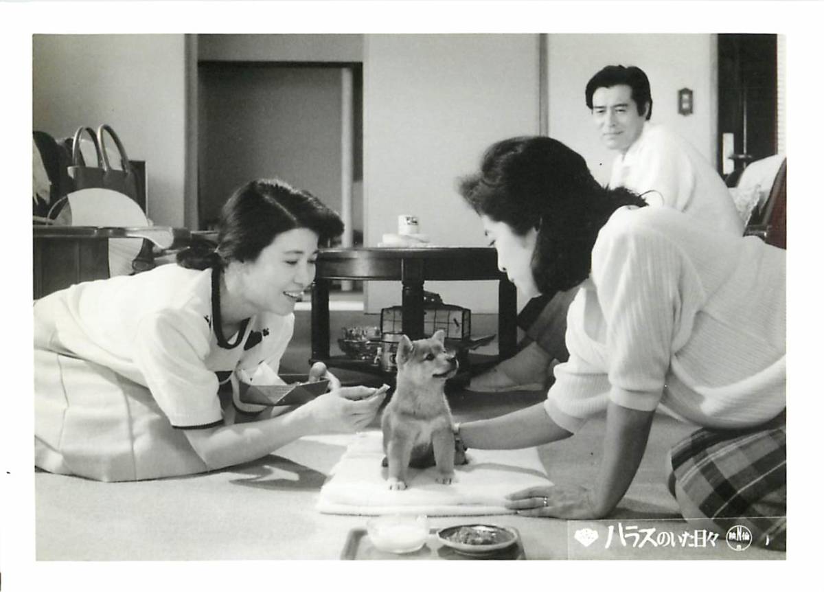 p39110『ハラスのいた日々』スチル 加藤剛 十朱幸代 益岡徹 日下由美 有森也実 相楽晴子 東野英治郎拍卖