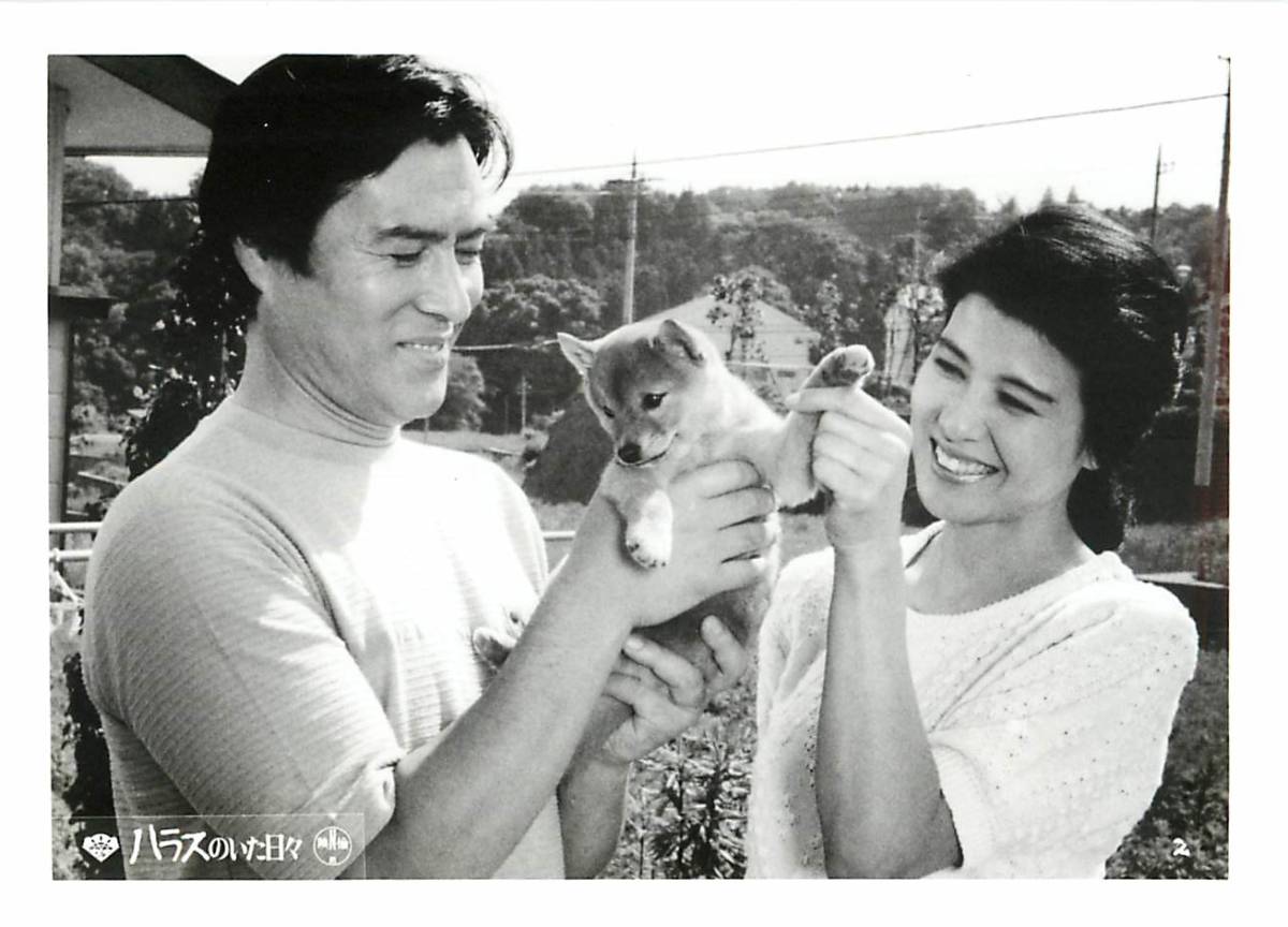 p39113『ハラスのいた日々』スチル 加藤剛 十朱幸代 益岡徹 日下由美 有森也実 相楽晴子 東野英治郎拍卖