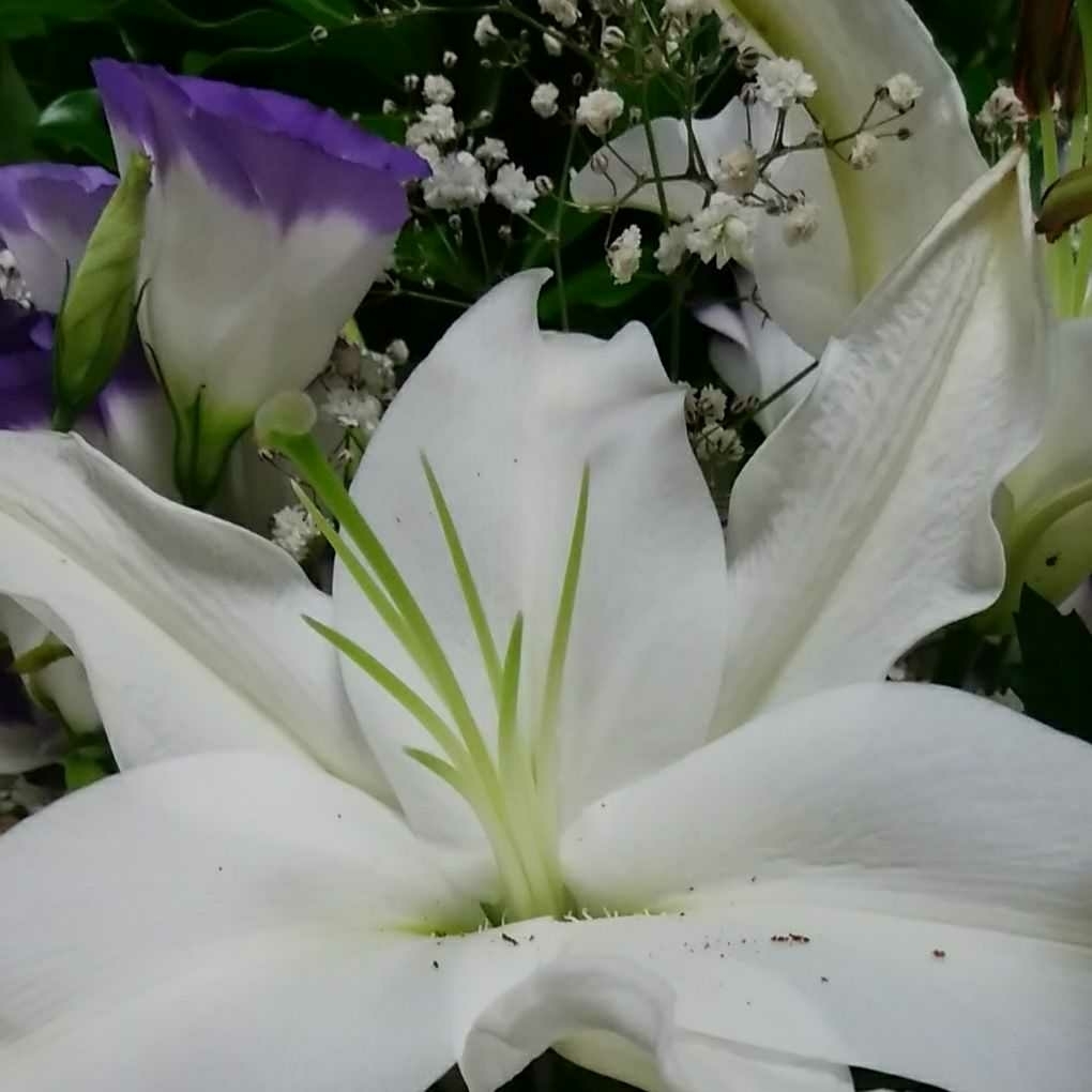 天使形霊山寺お守り 金運アップ水晶いり陰陽師が祈祷しました。拍卖