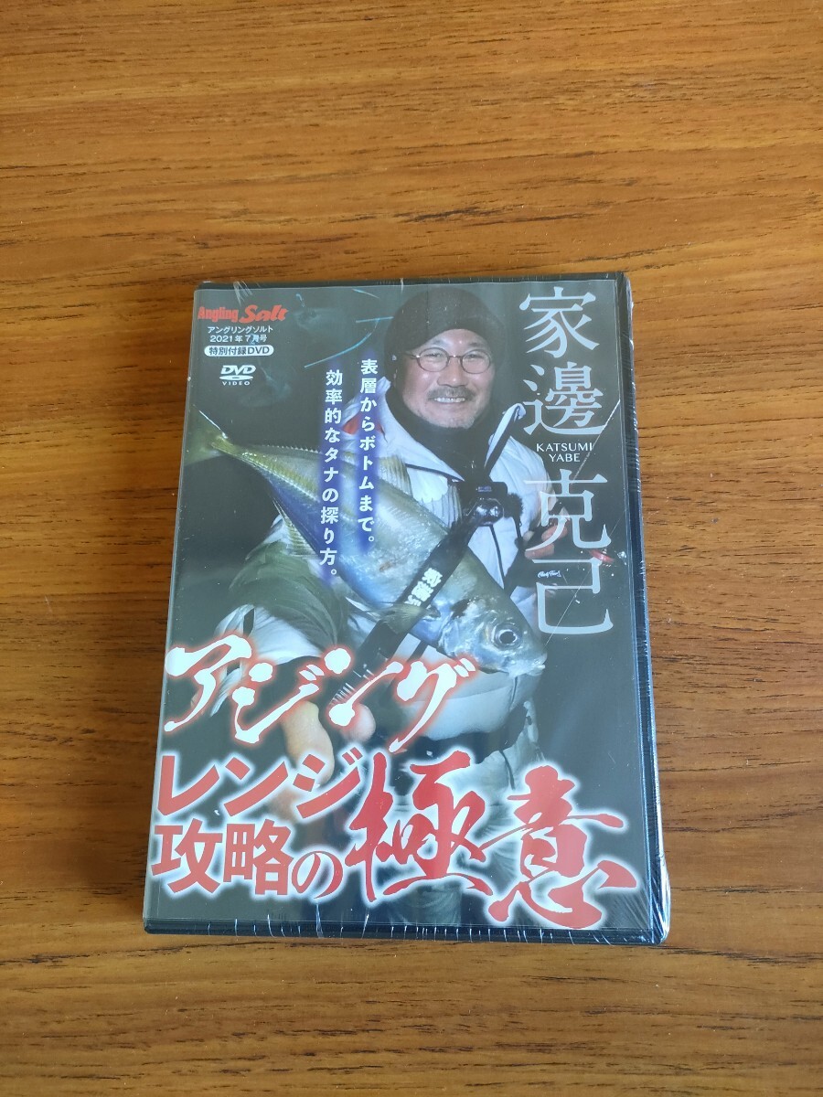 未使用 アングリングソルト 2021年7月号 付録 釣り DVD アジング レンジ攻略の極意 家邊克己 Angling Salt Appendix Fishing DVD拍卖