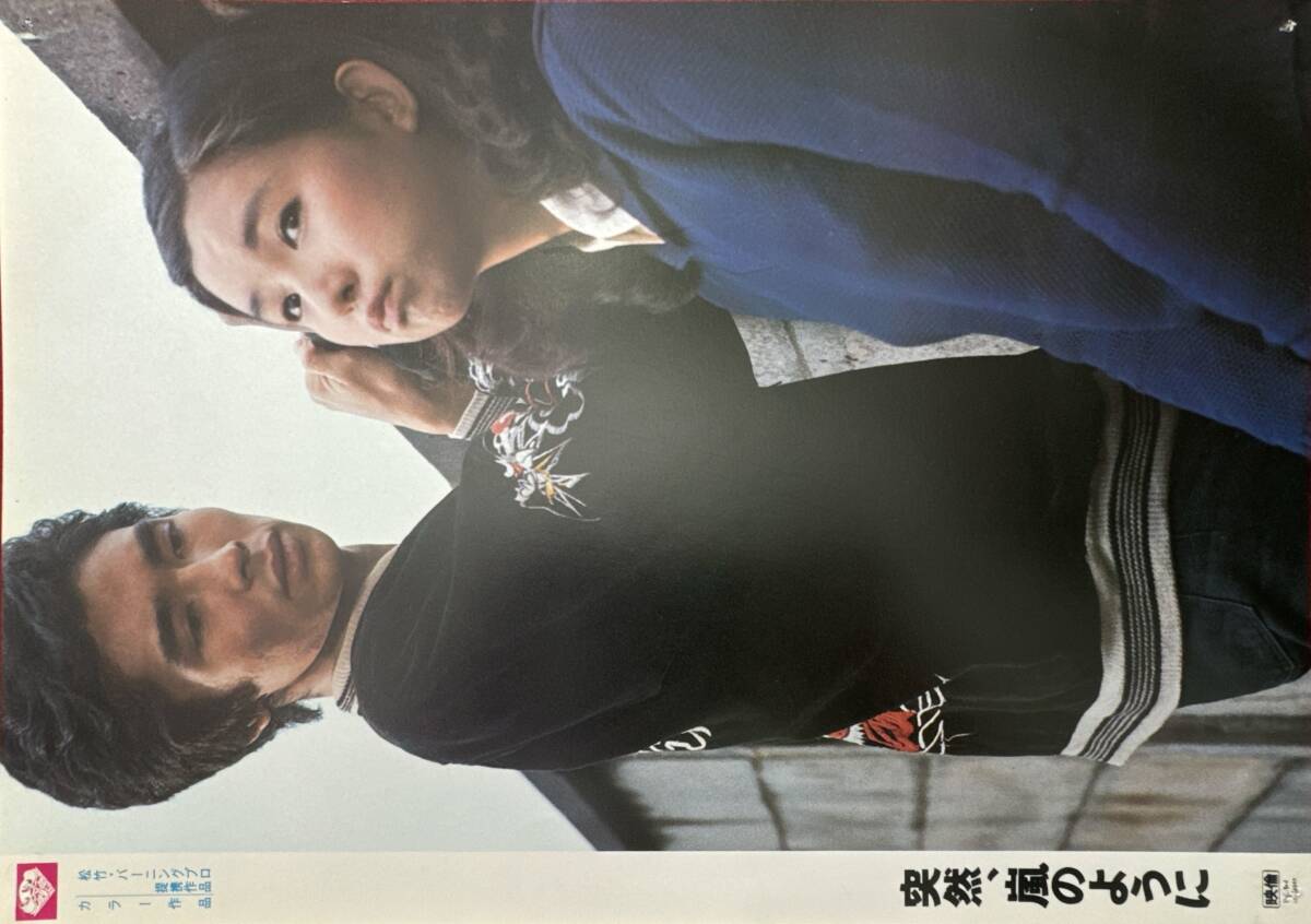 ly02482『突然、嵐のように』ロビーカード 山根成之 周防郁雄 郷ひろみ 秋吉久美子 佐藤蛾次郎 中山麻理 大滝秀治 東てる美拍卖