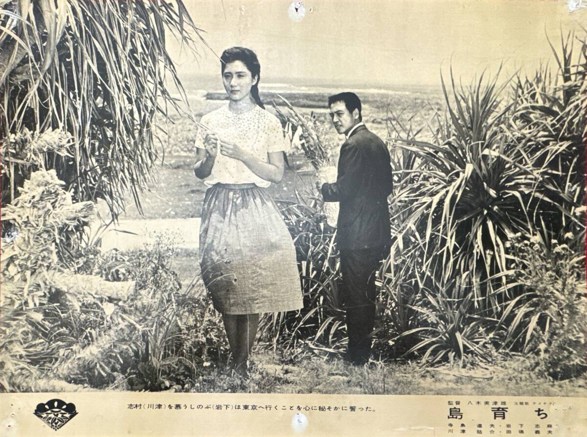 ly02403『島育ち』ロビーカード 八木美津雄 寺島達夫 岩下志麻 川津祐介 田端義夫 高宮敬二 北竜二 榊ひろみ 殿山泰司拍卖
