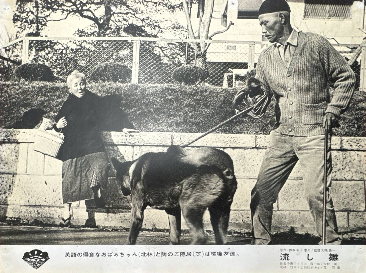 ly02313『流し雛』ロビーカード 大槻義一 木下恵介 倍賞千恵子 三上真一郎 佐野周二 北林谷栄 乙羽信子 笠智衆拍卖