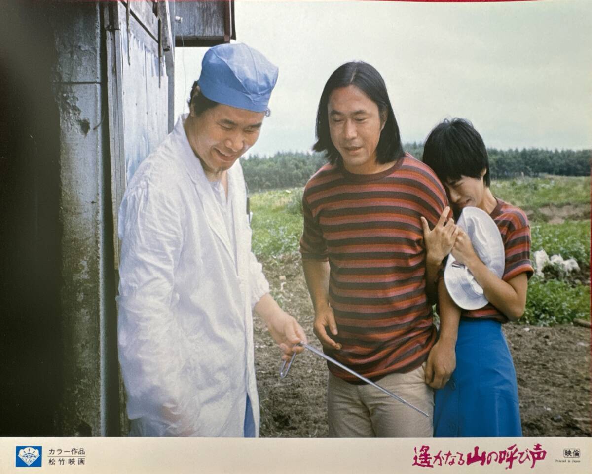 ly02337『遙かなる山の呼び声』ロビーカード 山田洋次 高倉健 倍賞千恵子 吉岡秀隆 ハナ肇 武田鉄矢 渥美清 杉山とく子 畑正憲拍卖