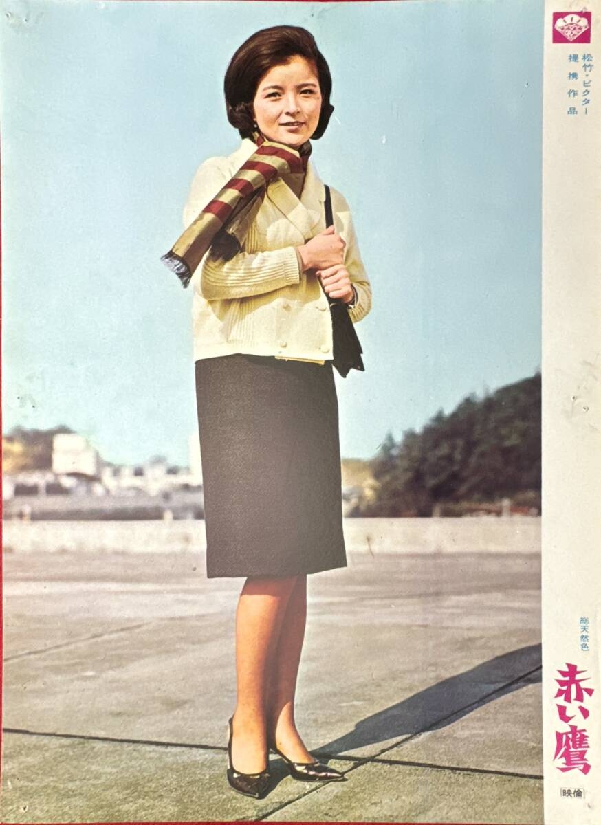 ly02449『赤い鷹』ロビーカード 橋幸夫 倍賞千恵子 山東昭子 市川瑛子 北條きく子 待田京介 菅原謙二 原良子拍卖