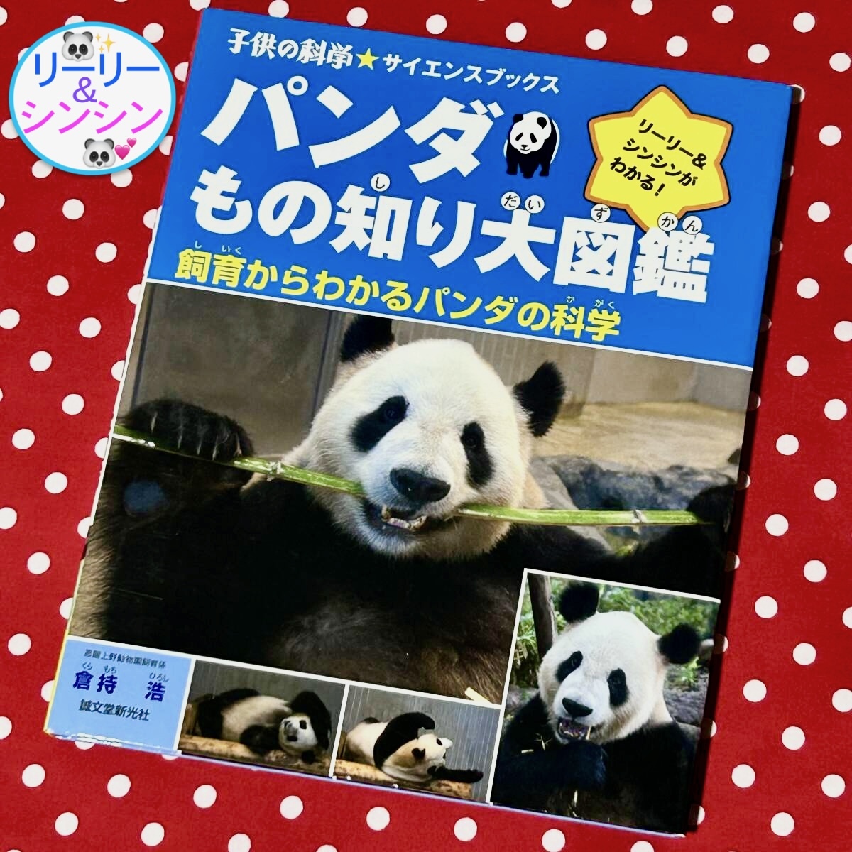 子供の科学★サイエンスブック『パンダもの知り大図鑑』飼育からわかるパンダの科学 倉持浩 上野動物園 リーリー シンシン シャンシャン拍卖