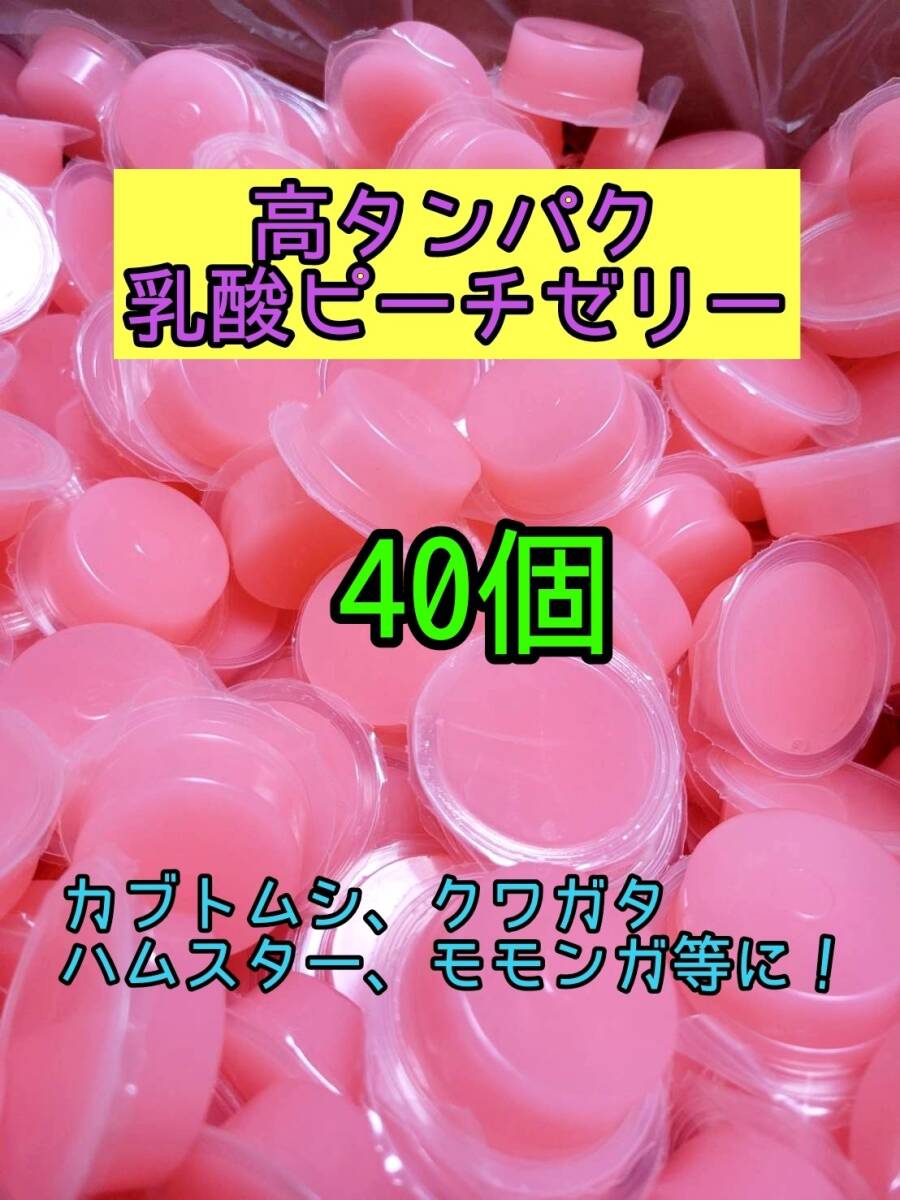 高タンパク乳酸ピーチゼリー17g 40個 昆虫ゼリー プロゼリー ドルクスゼリー オオクワ カブトムシ 小動物 モモンガ ハムスター拍卖