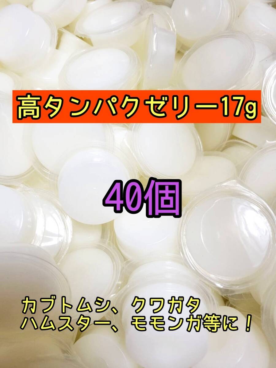 高タンパクゼリー17g 40個 昆虫ゼリー プロゼリー ドルクスゼリー オオクワ カブトムシ 小動物 モモンガ ハムスター拍卖