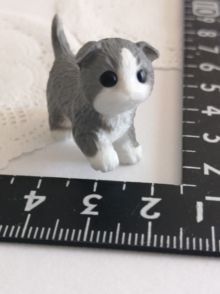 4r1108 ドール用 ミニチュア 猫 ねこ ネコ スコティッシュ ペット ピュアニーモ リカちゃん ブライス momoko バービー ジェニー 1/6ドール拍卖