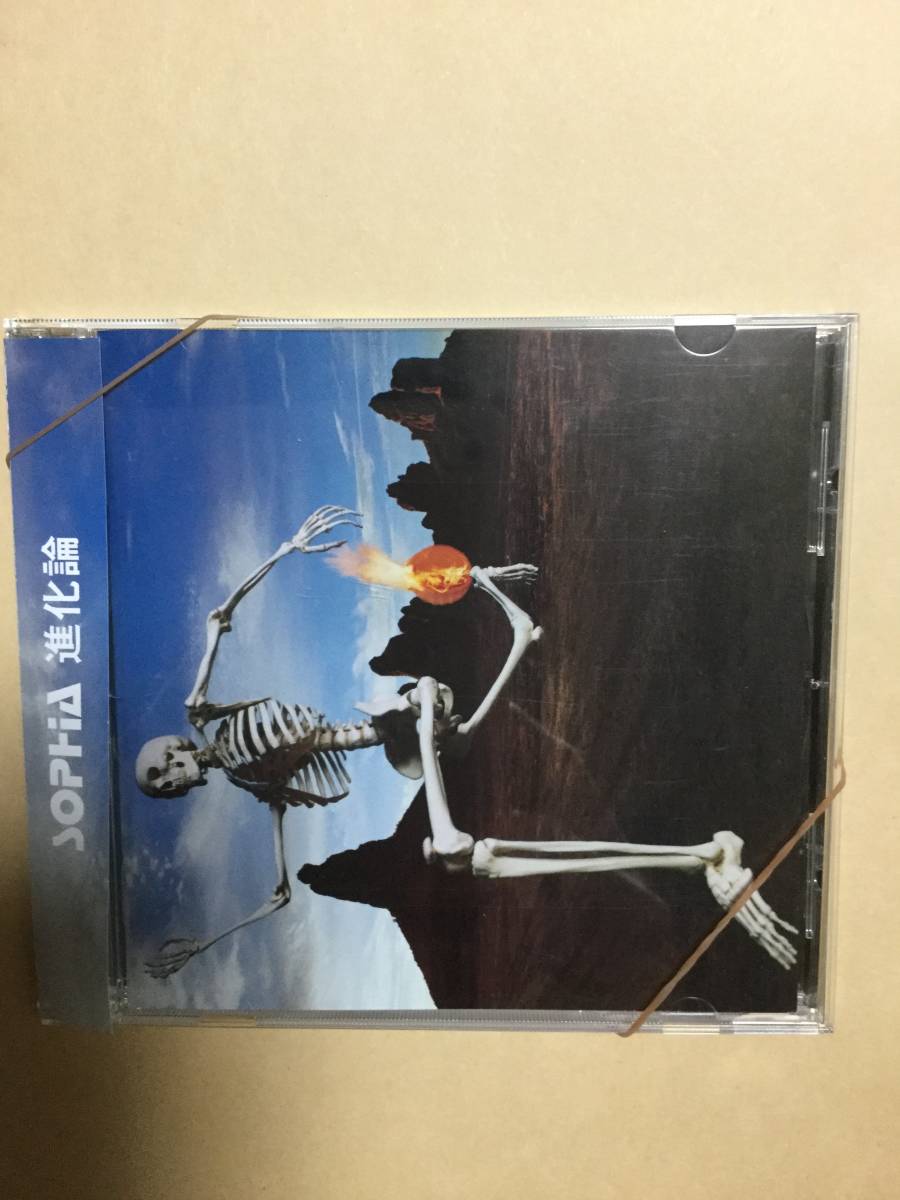 送料無料 ソフィア「進化論」拍卖