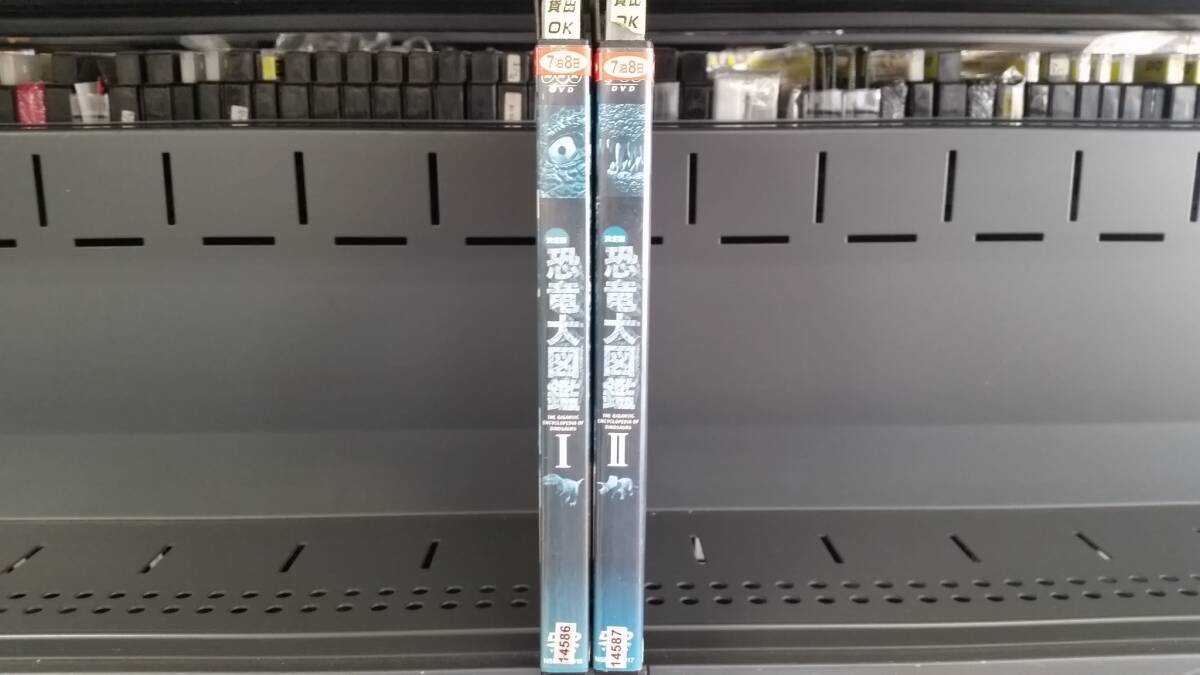 YD6144 DVD【決定版!恐竜大図鑑 全2巻セット】☆(出演 他)☆現状渡し※拍卖