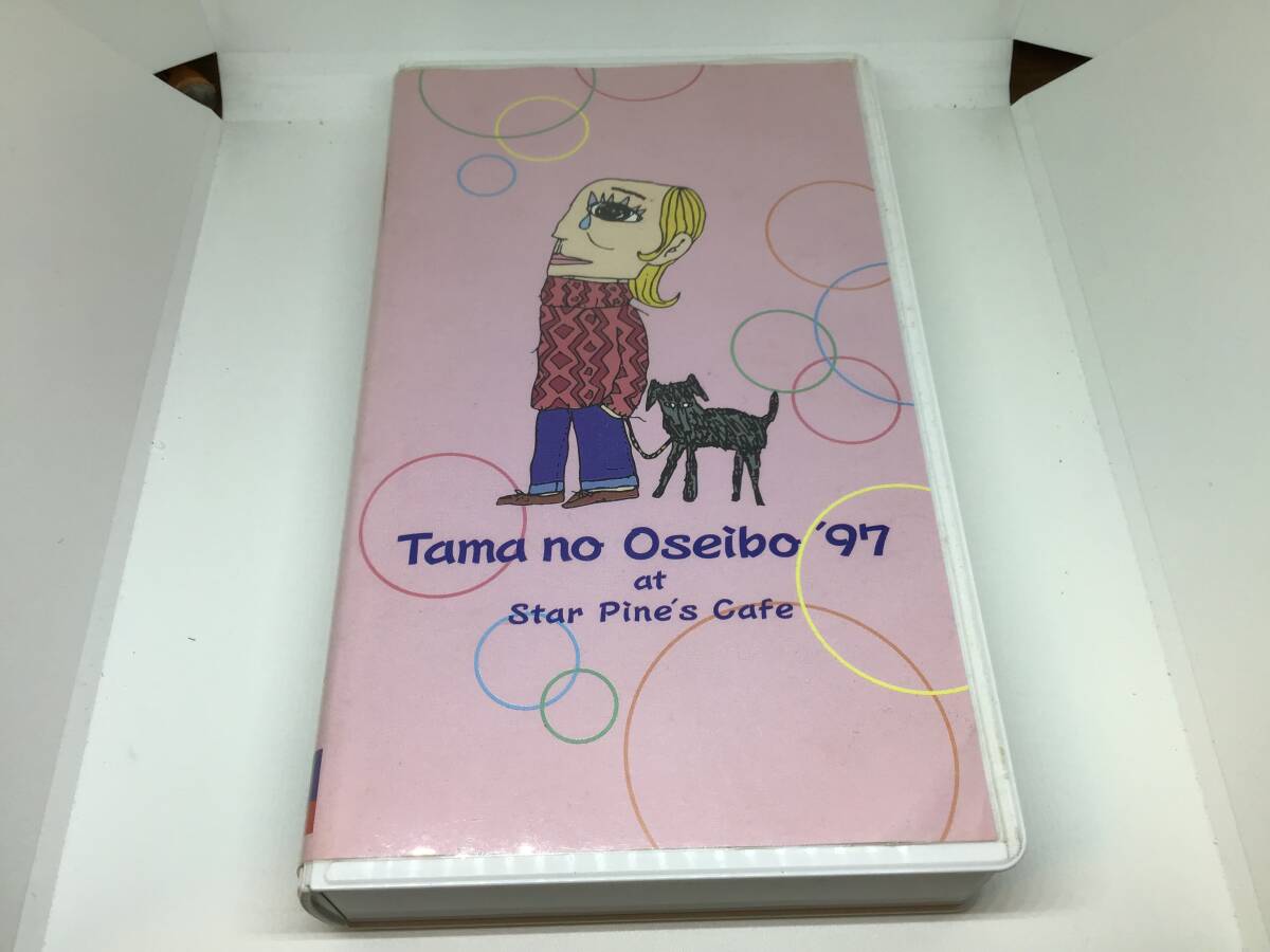 たま たまのお歳暮 97 at star pine's cafe vhs ビデオテープ 中古 知久寿焼 石川浩司 滝本晃司 柳原幼一郎 柳原陽一郎拍卖