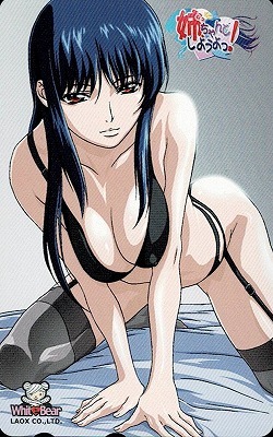 姉、ちゃんとしようよっ!/特典テレカ/最神扇道拍卖