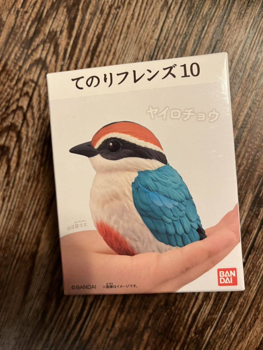 送安 即決 てのりフレンズ10 フィギュア 未開封 ヤイロチョウ 鳥 マスコット インテリア ガーデニング拍卖