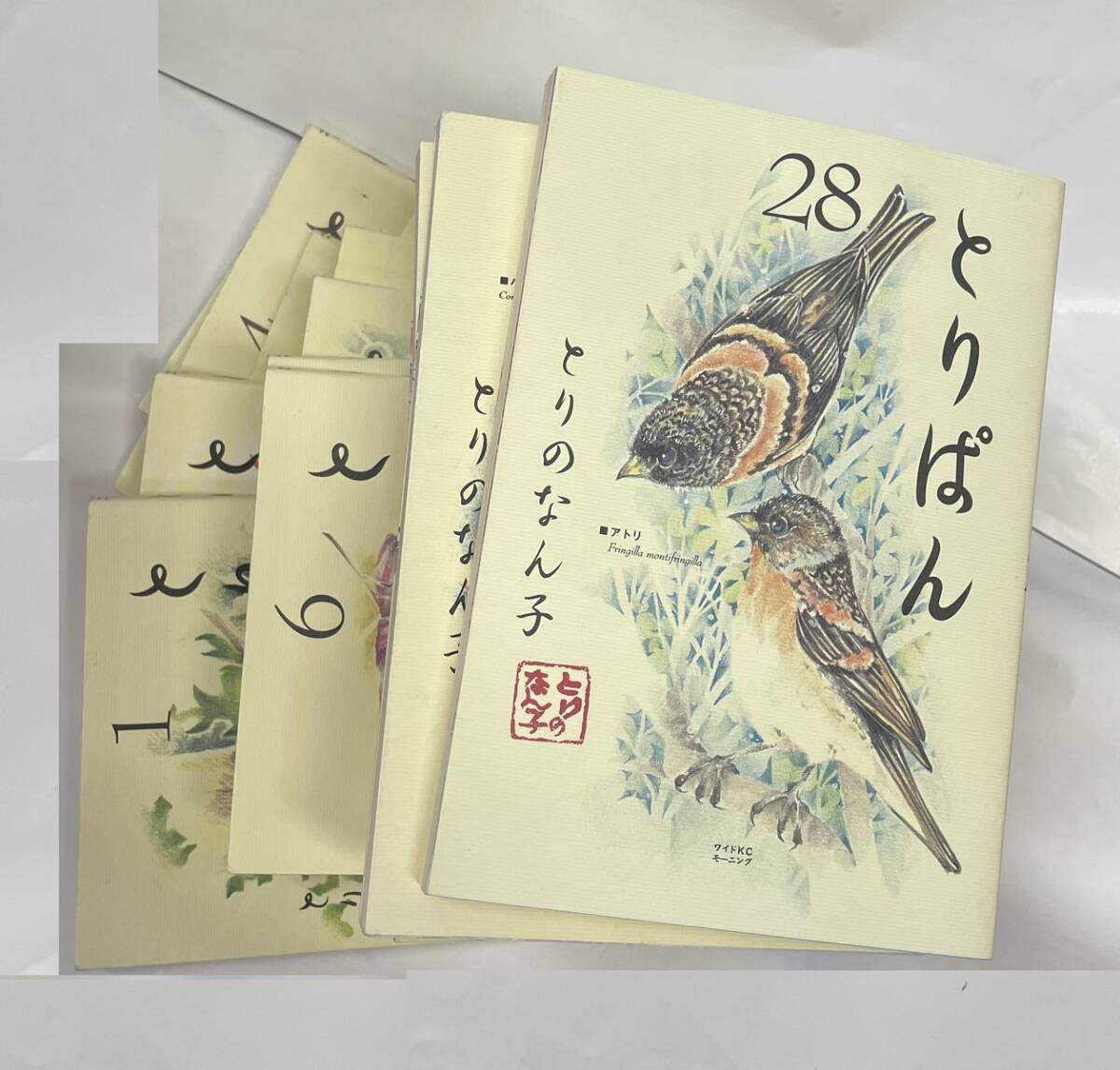 とりぱん 17冊セット とりのなん子 講談社 不揃い ダブリ有拍卖