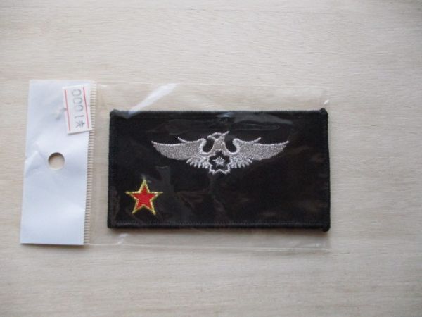 【送料無料】航空自衛隊 アグレッサー ネームタグ パッチ刺繍ワッペン/飛行教導群 patch小松基地AIR FORCE空自JASDF日本空軍JAPAN M49拍卖