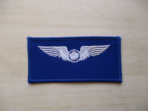 【送料無料】航空自衛隊 ネームタグ パッチ刺繍ワッペン /青パイロット階級章patch搭乗員章AIR FORCE空自JASDF日本空軍JAPAN徽章 M50拍卖