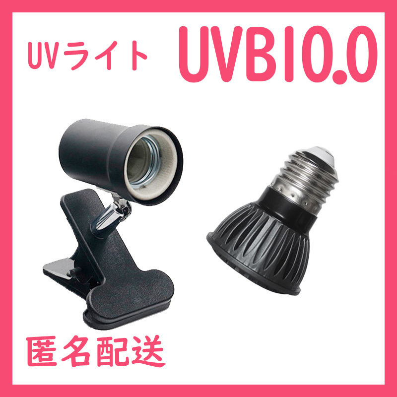 爬虫類ライト【小型UVLED紫外線ライト UVB10.0】 S0751拍卖