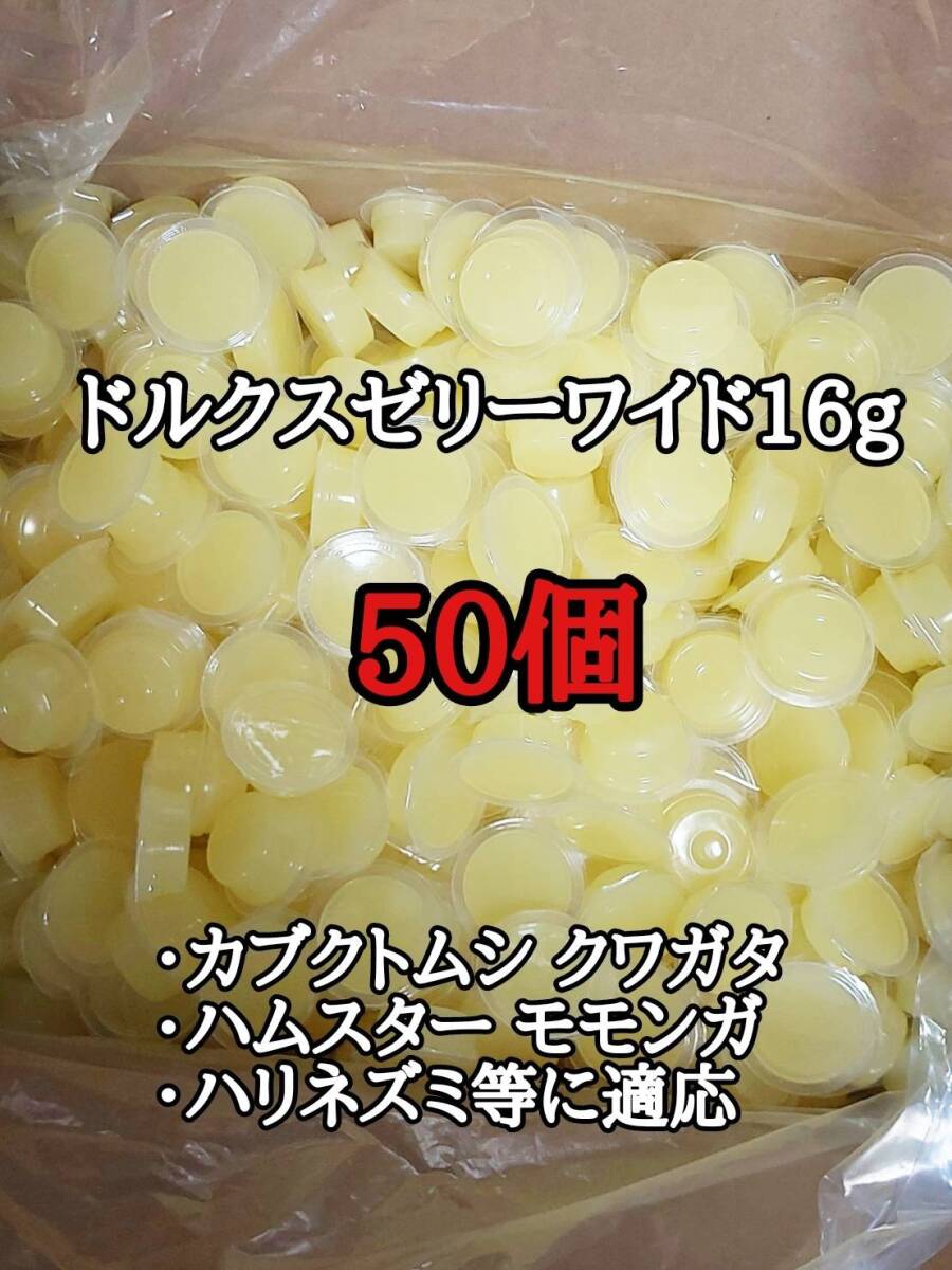 ドルクスゼリーワイドS16g 50個 フジコン 昆虫ゼリー オオクワ カブトムシ 小動物拍卖