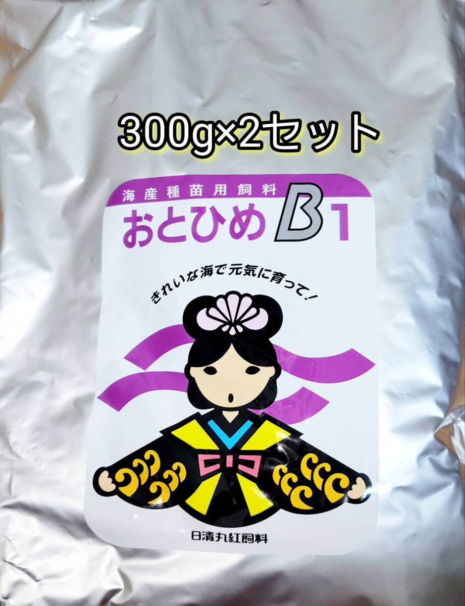 おとひめB1 300g 2セット 日清丸紅飼料 めだか グッピー らんちゅう稚魚 熱帯魚拍卖
