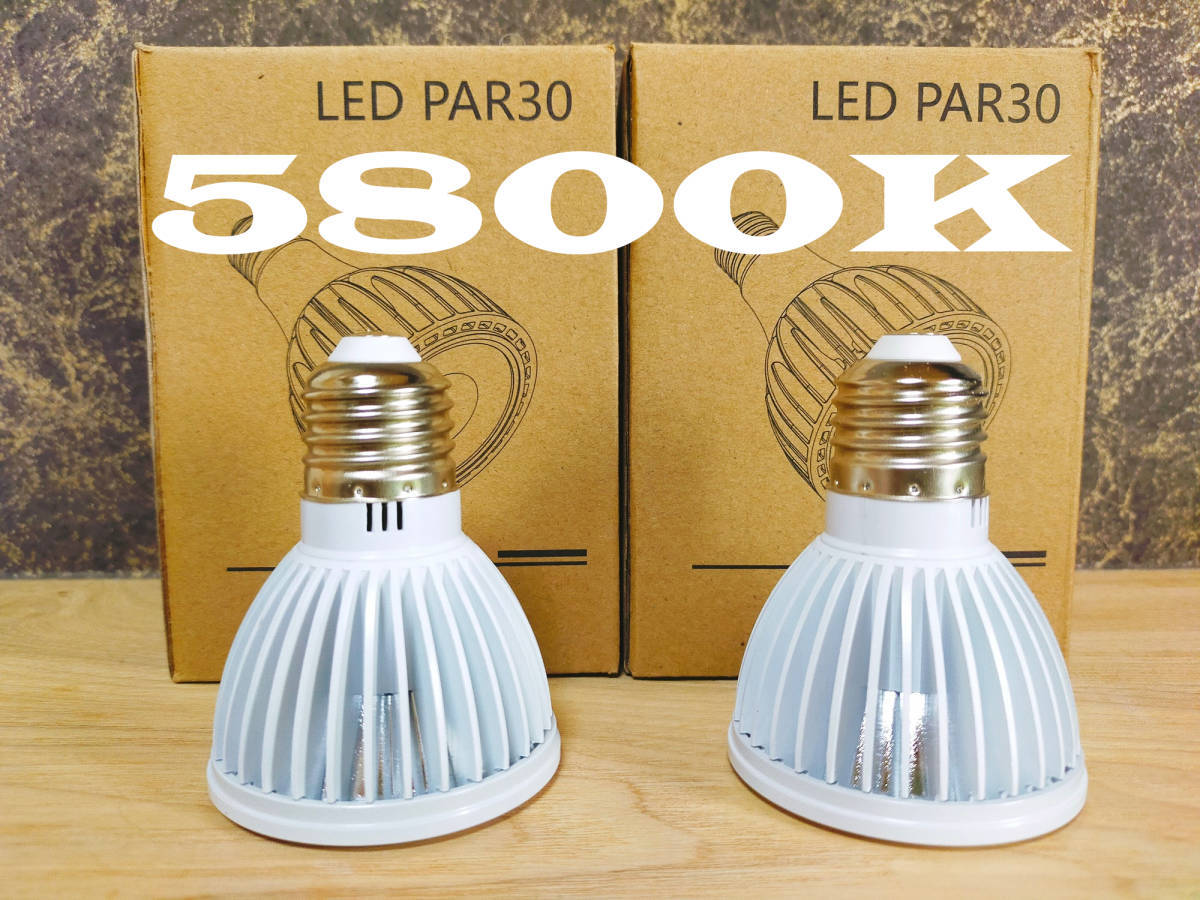 【送料無料】植物育成ライト 10W 5800K 2個 白色 太陽光 フルスペクトルLED拍卖