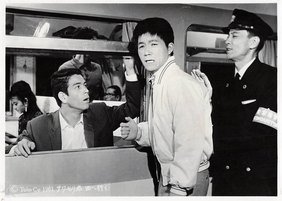 p43050『アワモリ君西へ行く』スチル 古沢憲吾 秋好馨 坂本九 森山加代子 ジェリー藤尾 渡辺トモコ 高島忠夫 浜美枝 筑波久子拍卖