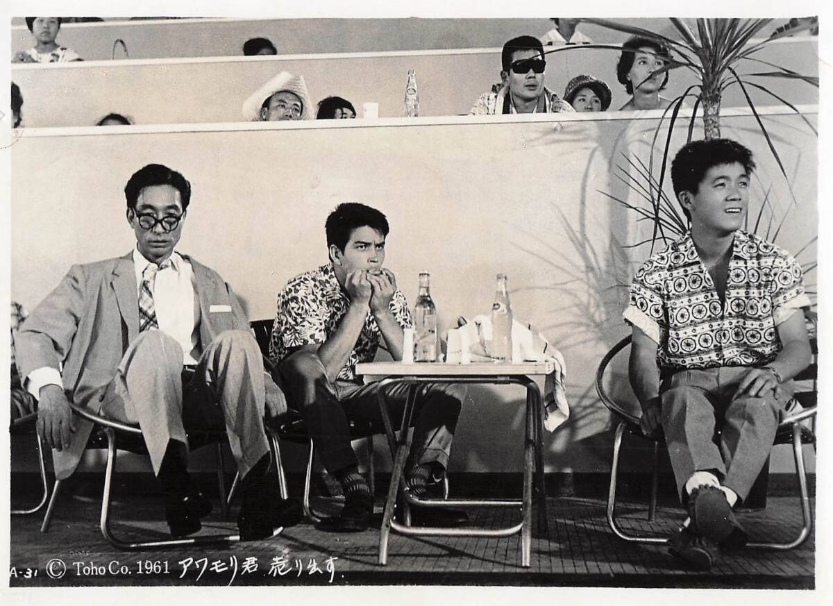 p43055『アワモリ君売出す』スチル 古沢憲吾 秋好馨 坂本九 森山加代子 ジェリー藤尾 並木一路 有島一郎 沢村貞子拍卖