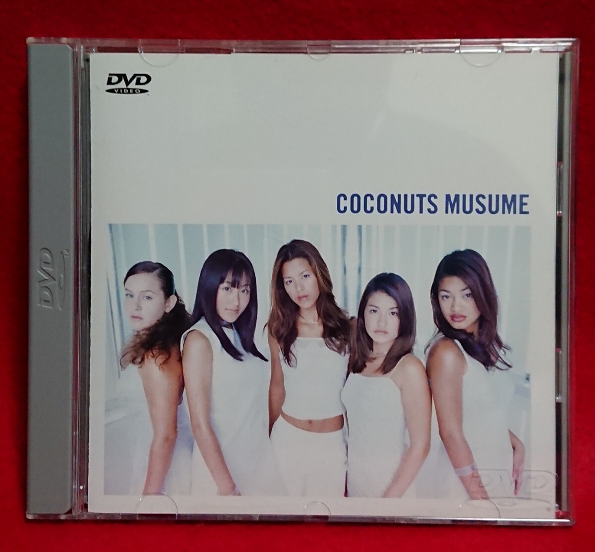 ココナッツ娘 DVD ミュージックビデオ拍卖