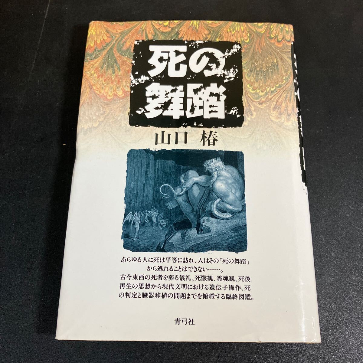 24-5-19『 死の舞踏 』山口椿 死体 死骸 臓器 1993年 青弓社拍卖