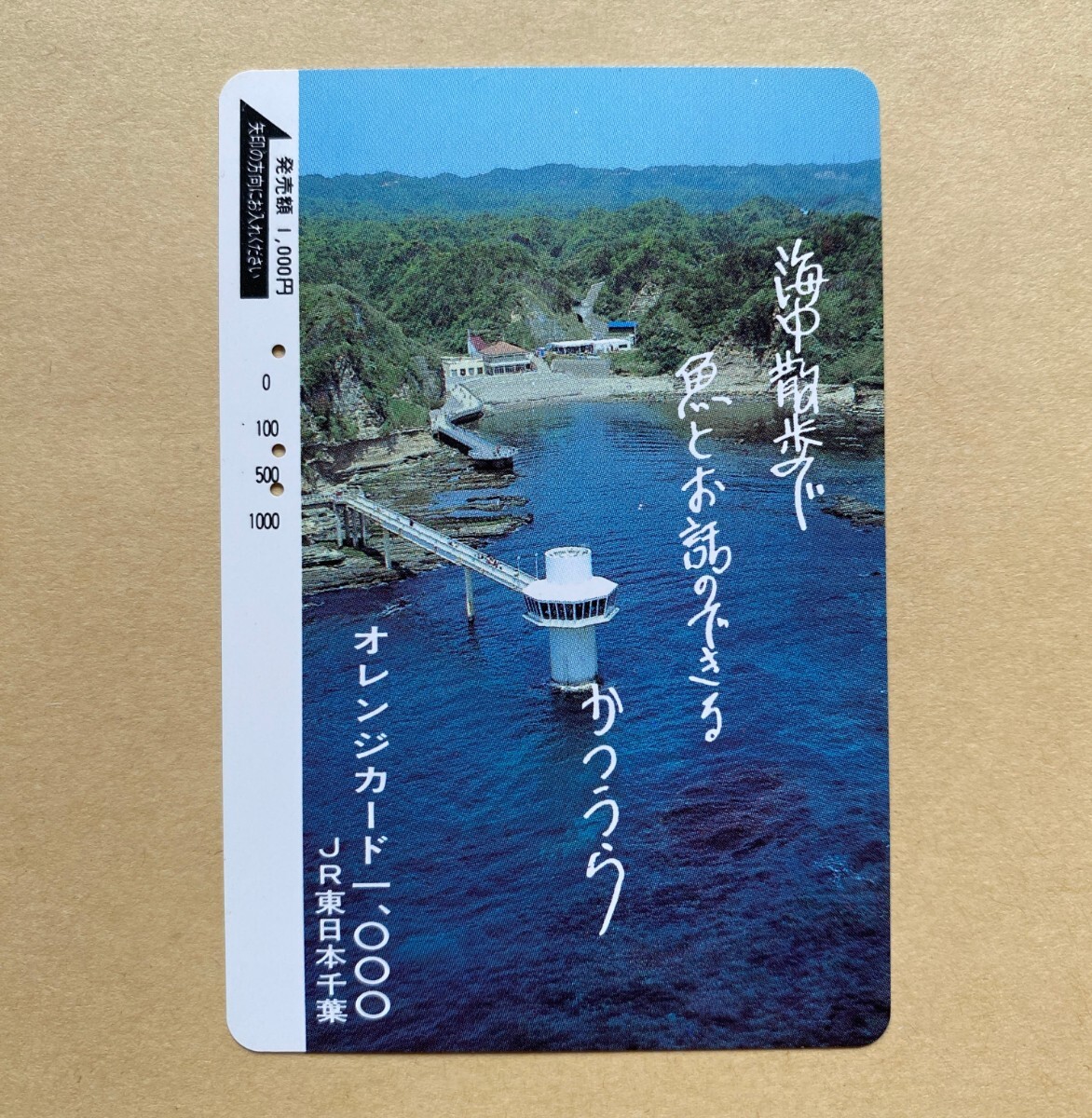 【使用済】 オレンジカード JR東日本 かつうら海中公園 拍卖