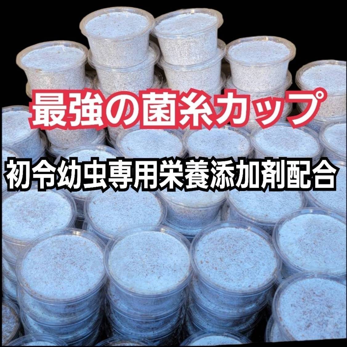 特選!ヒマラヤひらたけ菌糸カップ120ml【40個セット】初令、2令幼虫専用栄養添加剤配合! オオクワガタ、ニジイロ、ヒラタ、ノコギリに!拍卖