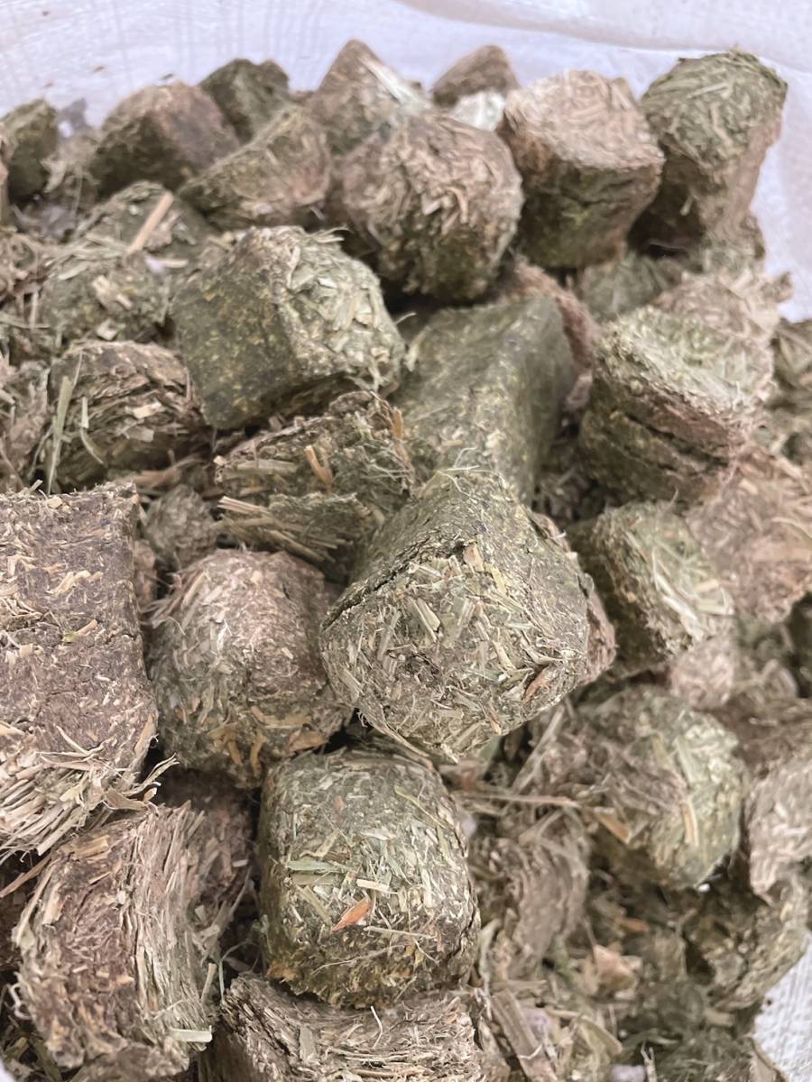 ヘイキューブ 15kg エサ 飼料拍卖