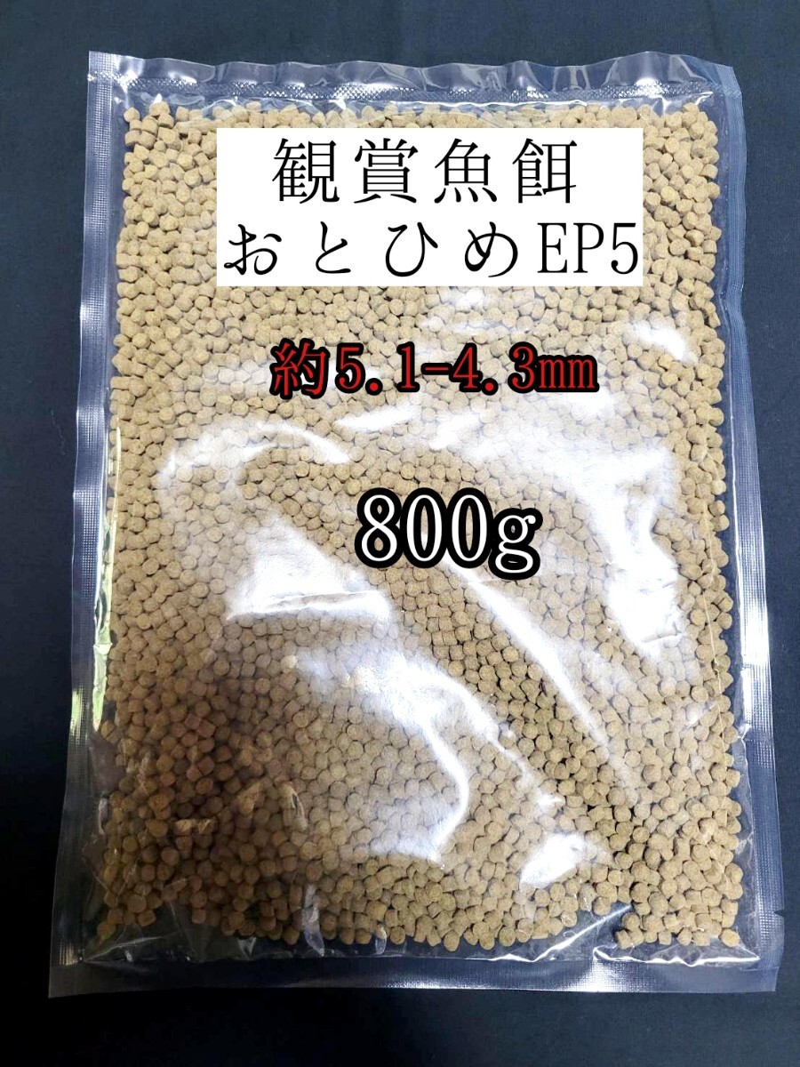 観賞魚の餌 約4.3-5.1mm おとひめEP5 800g 日清丸紅飼料 熱帯魚 錦鯉 プレコ オスカー ポリプテルスの餌拍卖