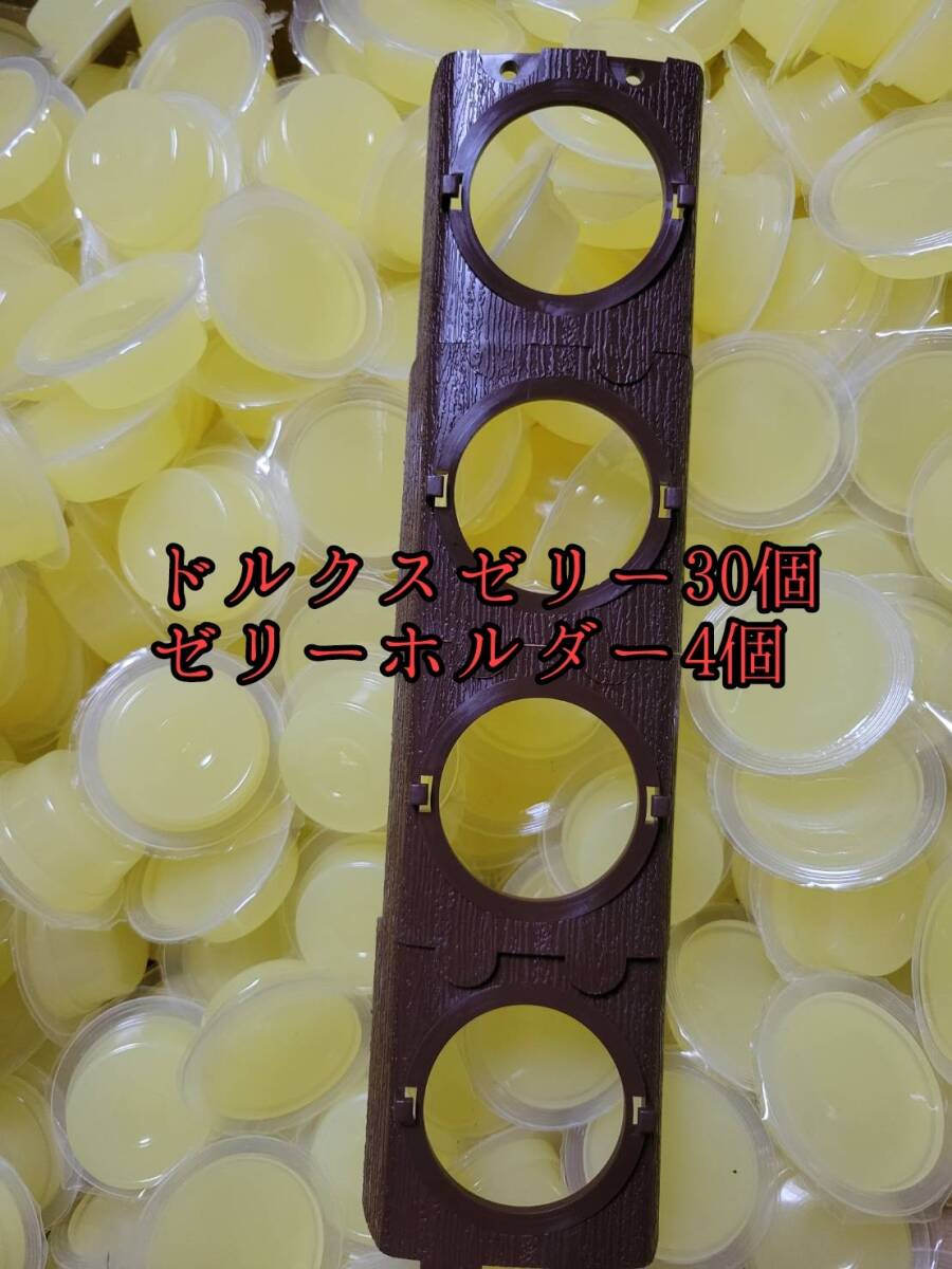 ドルクスゼリーワイドS16g 30個 ゼリーホルダーワイド4個 オオクワ カブトムシ モモンガ ハリネズミ 昆虫ゼリー プロゼリー すこやかゼリー拍卖