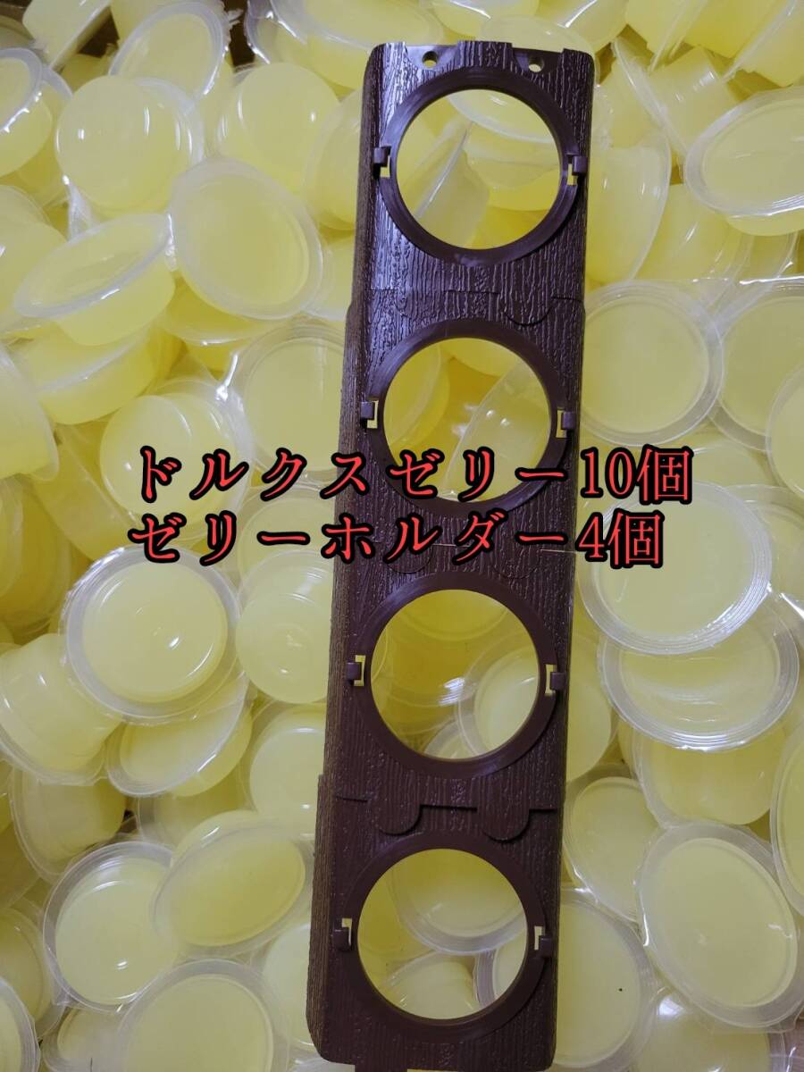 ドルクスゼリーワイドS16g 10個 ゼリーホルダーワイド4個 オオクワ カブトムシ モモンガ ハリネズミ 昆虫ゼリー プロゼリー すこやかゼリー拍卖