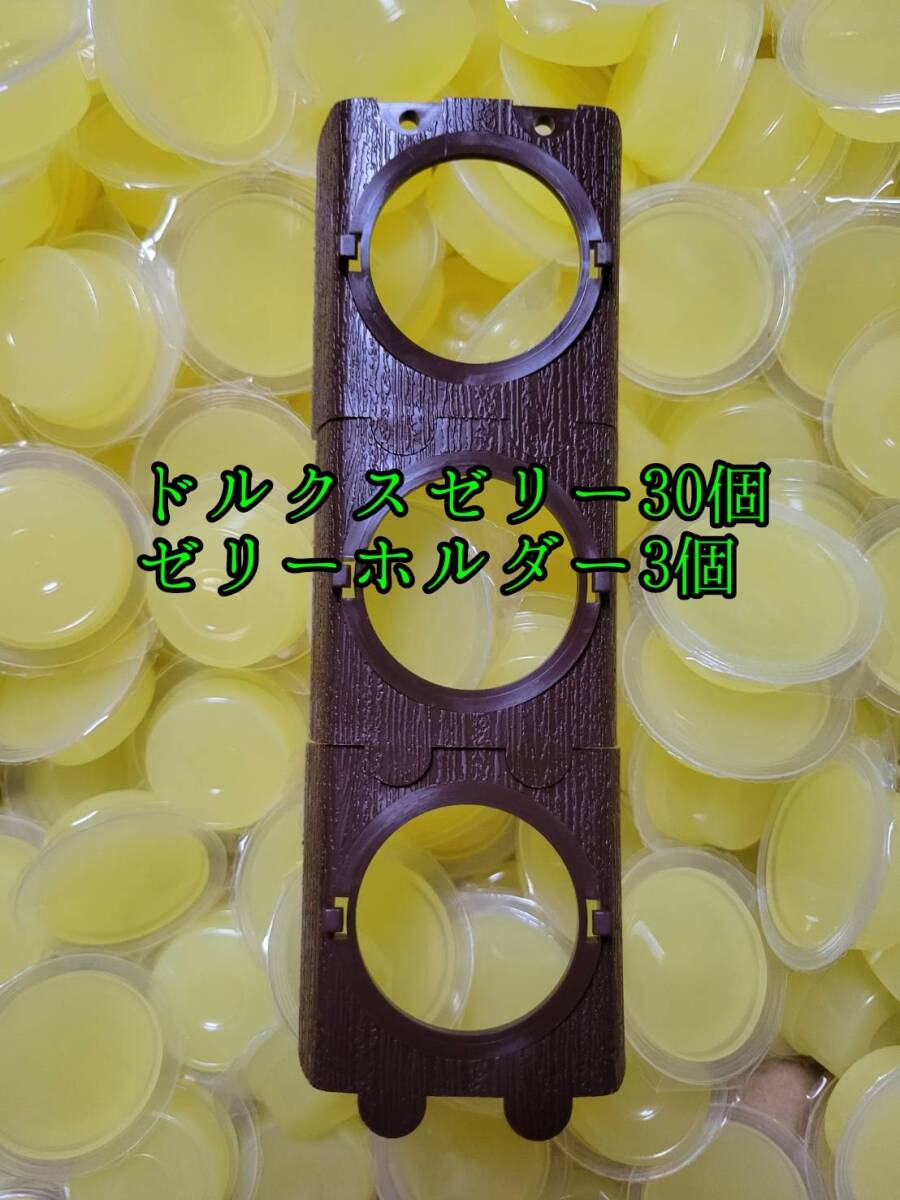 ドルクスゼリーワイドS16g 30個 ゼリーホルダーワイド3個 オオクワ カブトムシ モモンガ ハリネズミ 昆虫ゼリー プロゼリー すこやかゼリー拍卖